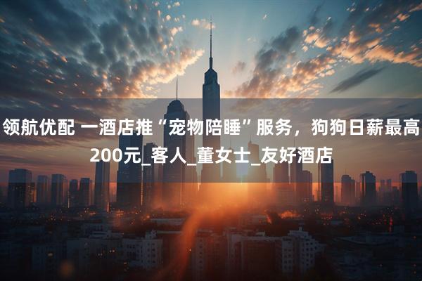 领航优配 一酒店推“宠物陪睡”服务，狗狗日薪最高200元_客人_董女士_友好酒店