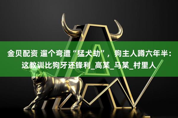 金贝配资 遛个弯遭“猛犬劫”，狗主人蹲六年半：这教训比狗牙还锋利_高某_马某_村里人