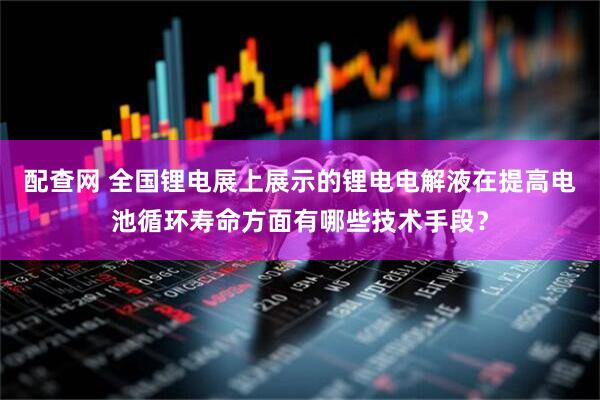配查网 全国锂电展上展示的锂电电解液在提高电池循环寿命方面有哪些技术手段？